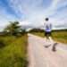 Stymphalia Lake Run 2025